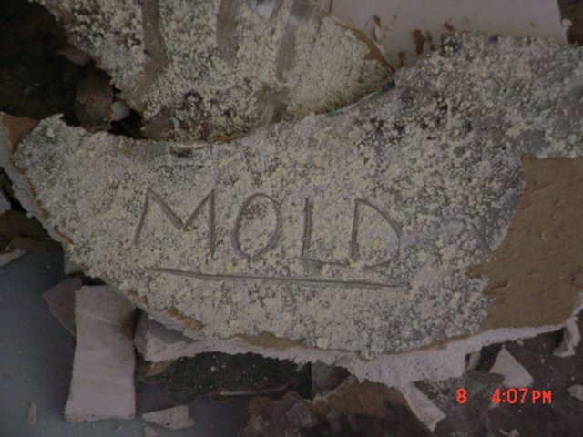 Toxic black mold removal - containment example