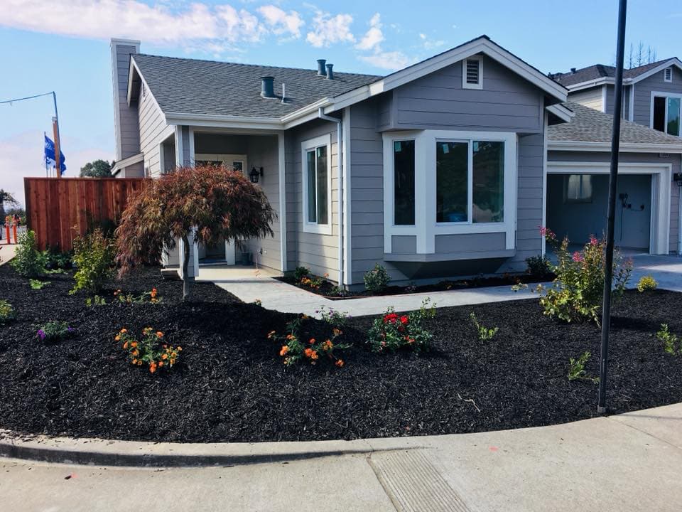 Beautiful new construction home with landscaping